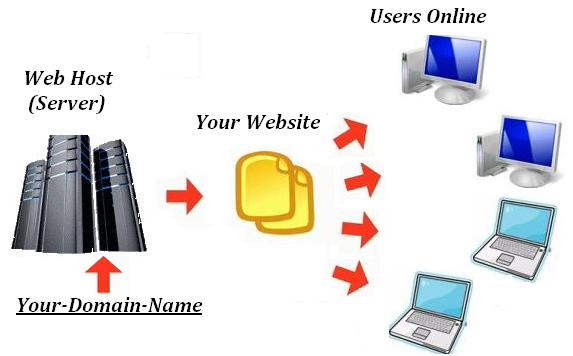 dịch vụ web hosting